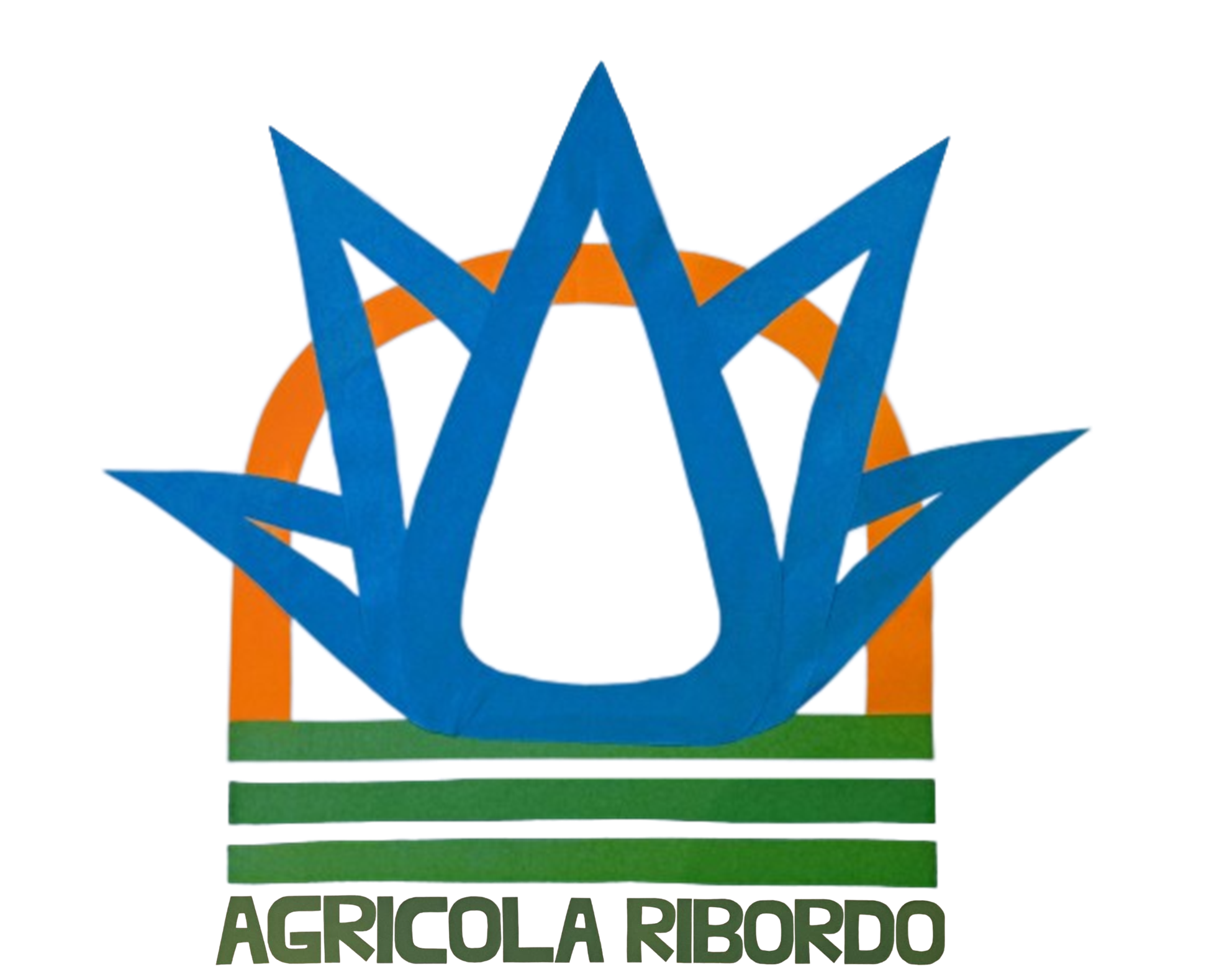 AGRICOLA RIBORDO SA DE CV